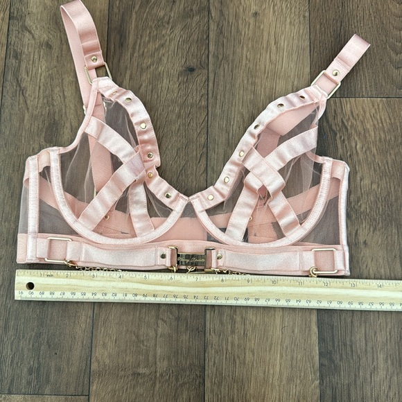 Honey Birdette Indria Soft Peach Bra Size 32F (32DDD) Discontinued Sexy Bondage - Picture 7 of 11